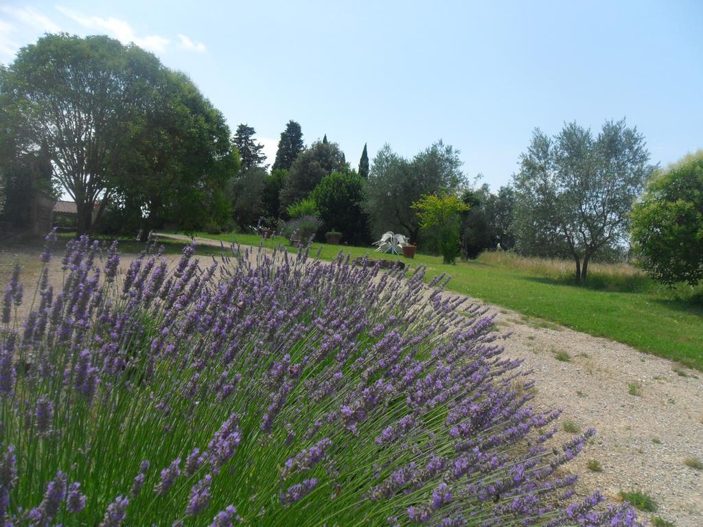 Fullino Nero Rta - Residenza Turistico Alberghiera Sienne Extérieur photo