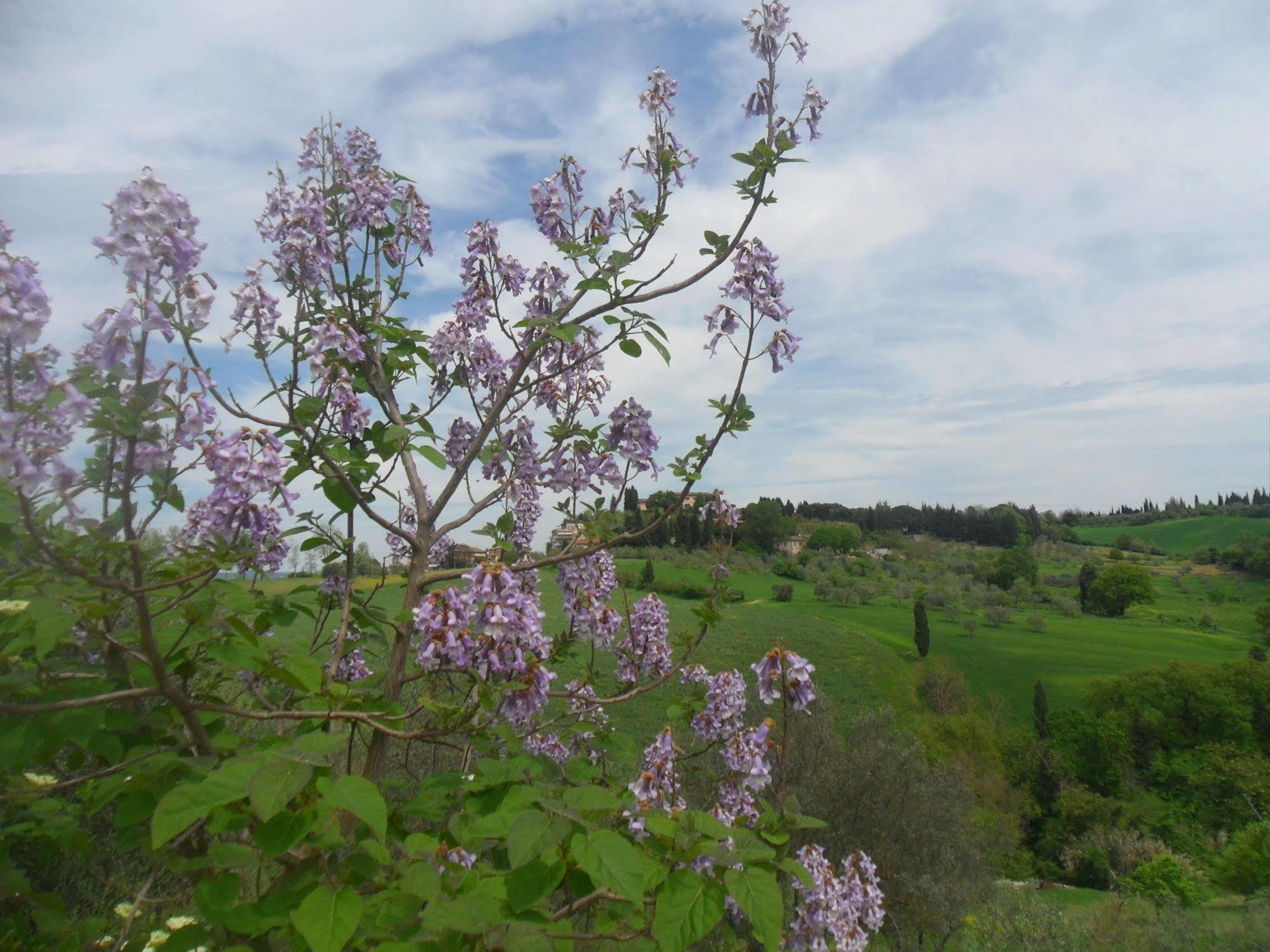 Fullino Nero Rta - Residenza Turistico Alberghiera Sienne Extérieur photo